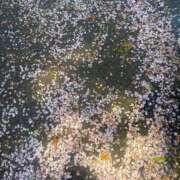 ヒメ日記 2026/04/04 20:39 投稿 あき 迷宮の人妻　熊谷・行田発