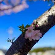 ヒメ日記 2026/04/08 16:19 投稿 あき 迷宮の人妻　熊谷・行田発