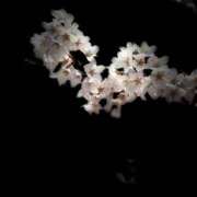 ヒメ日記 2026/04/18 08:39 投稿 あき 迷宮の人妻 古河・久喜発