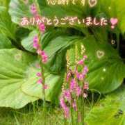 ヒメ日記 2026/07/06 00:09 投稿 あき 迷宮の人妻 古河・久喜発