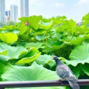 ヒメ日記 2026/08/30 08:09 投稿 あき 迷宮の人妻 古河・久喜発