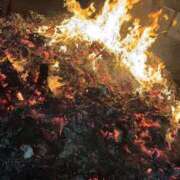 ヒメ日記 2026/01/26 17:04 投稿 ゆうあ 金瓶梅(きんぺいぱい)(雄琴)