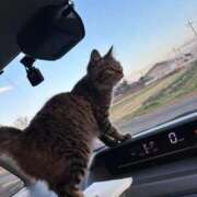 ヒメ日記 2026/01/27 12:24 投稿 ゆうあ 金瓶梅(きんぺいぱい)(雄琴)