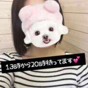 ヒメ日記 2026/01/17 23:57 投稿 さな 秋葉原鑑賞ガール