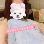 ヒメ日記 2026/02/11 22:07 投稿 さな 秋葉原鑑賞ガール