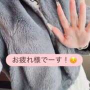 ヒメ日記 2026/02/12 00:07 投稿 さな 秋葉原鑑賞ガール