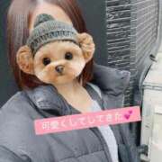 ヒメ日記 2026/02/17 12:27 投稿 さな 秋葉原鑑賞ガール