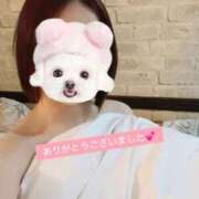 ヒメ日記 2026/02/19 20:47 投稿 さな 秋葉原鑑賞ガール