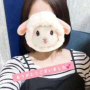 ヒメ日記 2026/02/19 20:52 投稿 さな 秋葉原鑑賞ガール