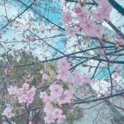 ヒメ日記 2026/02/18 12:40 投稿 雪乃-ゆきの 熟女10000円デリヘル 川崎