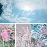 ヒメ日記 2026/03/17 12:43 投稿 雪乃-ゆきの 熟女10000円デリヘル 川崎