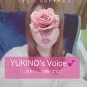 ヒメ日記 2026/02/12 23:20 投稿 雪乃-ゆきの 熟女10000円デリヘル横浜