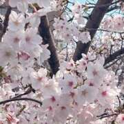 ヒメ日記 2026/03/30 13:10 投稿 雪乃-ゆきの 熟女10000円デリヘル横浜