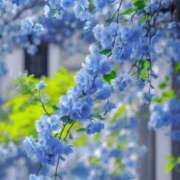 ヒメ日記 2026/03/28 00:08 投稿 みさお 熟女の風俗最終章 高崎店