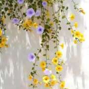 ヒメ日記 2026/03/28 23:48 投稿 みさお 熟女の風俗最終章 高崎店