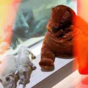 ヒメ日記 2026/01/22 17:45 投稿 うみ 人妻倶楽部内緒の関係 春日部店