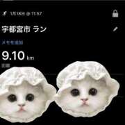 みやび 朝の日課 熟女の風俗最終章 宇都宮店