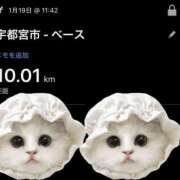 みやび 朝走ってきました 熟女の風俗最終章 宇都宮店