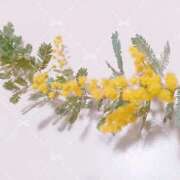 ヒメ日記 2026/03/07 17:45 投稿 しおり 奥様はエンジェル　八王子店