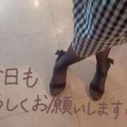ヒメ日記 2026/05/17 16:24 投稿 しおり 奥様はエンジェル　八王子店