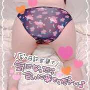 めい 受付終了です❣️ 渋谷ちゃんこ