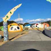 ヒメ日記 2026/02/03 10:06 投稿 らら 熟女家 ミナミエリア店