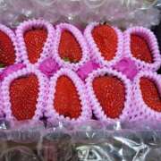 ヒメ日記 2026/03/19 09:59 投稿 らら 熟女家 ミナミエリア店