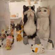 ヒメ日記 2026/03/28 10:05 投稿 らら 熟女家 ミナミエリア店