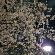 ヒメ日記 2026/04/04 10:27 投稿 らら 熟女家 ミナミエリア店