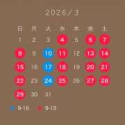 さき ハロハロー3月 激安ドットコム