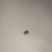 ヒメ日記 2026/03/06 11:05 投稿 つばき ギン妻パラダイス 十三店