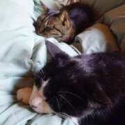 ヒメ日記 2026/04/07 07:02 投稿 つばき ギン妻パラダイス 十三店