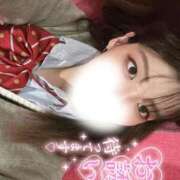 ヒメ日記 2026/02/28 06:52 投稿 ひかり 萌えカワ