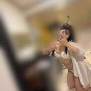 ヒメ日記 2026/02/15 11:48 投稿 枢(とぼそ)やな スタイリッシュ秘書