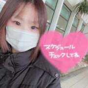 ヒメ日記 2026/01/22 08:15 投稿 れん High Quality デリバリーヘルス Platinum Club