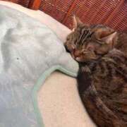 ヒメ日記 2026/03/01 18:03 投稿 はるる 風俗の神様　浜松店