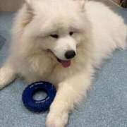 ヒメ日記 2026/02/27 17:05 投稿 みる 大阪ぽっちゃりマニア 谷九店