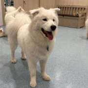 ヒメ日記 2026/03/09 15:03 投稿 みる 大阪ぽっちゃりマニア 谷九店