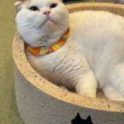 ヒメ日記 2026/03/14 23:13 投稿 みる 大阪ぽっちゃりマニア 谷九店