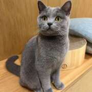 ヒメ日記 2026/03/28 18:12 投稿 みる 大阪ぽっちゃりマニア 谷九店