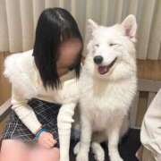 ヒメ日記 2026/01/21 00:28 投稿 かな★高身長イチャ好き現役JD Chloe錦糸町店 S級素人清楚系デリヘル