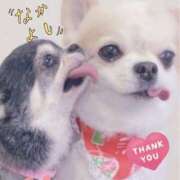 ヒメ日記 2026/01/25 15:26 投稿 まおみ モアグループ神栖人妻花壇