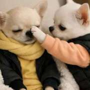 ヒメ日記 2026/03/05 21:09 投稿 まおみ モアグループ神栖人妻花壇