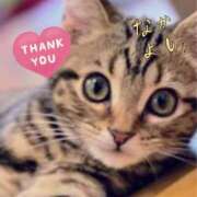 ヒメ日記 2026/04/17 18:34 投稿 まおみ モアグループ神栖人妻花壇