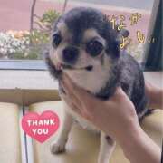 ヒメ日記 2026/04/17 19:06 投稿 まおみ モアグループ神栖人妻花壇