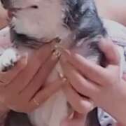 ヒメ日記 2026/04/18 09:22 投稿 まおみ モアグループ神栖人妻花壇