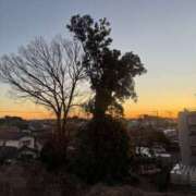 ヒメ日記 2026/03/17 18:43 投稿 ねね 脱がされたい人妻 さいたま大宮店