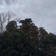 ヒメ日記 2026/03/19 20:08 投稿 ねね 脱がされたい人妻 さいたま大宮店