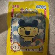 ヒメ日記 2026/04/06 09:46 投稿 ねね 脱がされたい人妻 さいたま大宮店