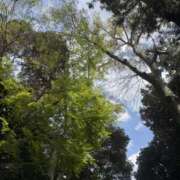 ヒメ日記 2026/04/06 12:37 投稿 ねね 脱がされたい人妻 さいたま大宮店